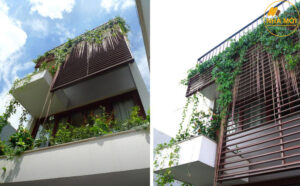 Giải pháp chống nóng cho ngôi nhà