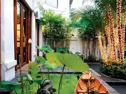 Lược cây xanh để chống nóng