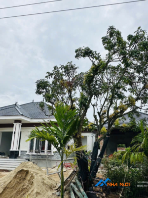 Nhà vườn mái nhật 1 tầng 150m2 - CĐT Anh Minh - Nga An, Nga Sơn, Thanh Hóa - Ảnh 7