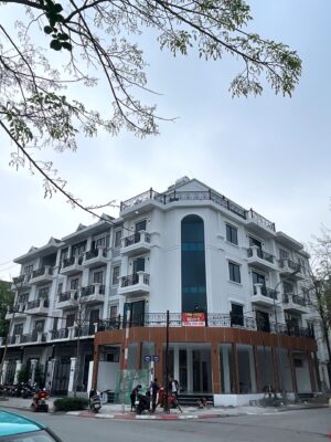 Cải tạo Biệt thự liền kề Đại Kim 1