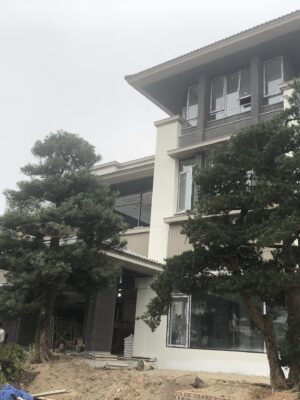 biệt thự hiện đại 3 tầng do Nhà Mới xây dựng