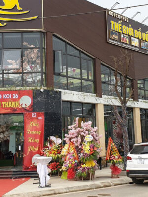 Alternative view of Caffe Cá Koi - Thanh Hóa