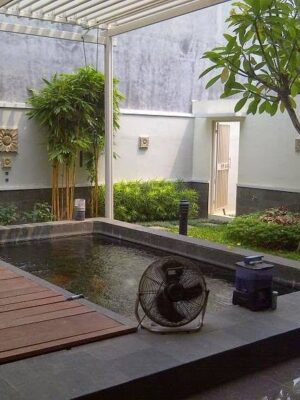 Một Số Mẫu Thiết Kế Tiêu Cảnh Đơn Giản - Ảnh 7