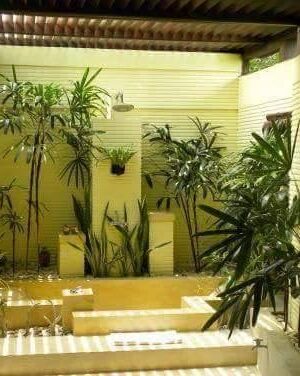 Một Số Mẫu Thiết Kế Tiêu Cảnh Đơn Giản - Ảnh 5