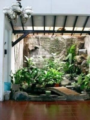 Alternative view of Một Số Mẫu Thiết Kế Tiêu Cảnh Đơn Giản