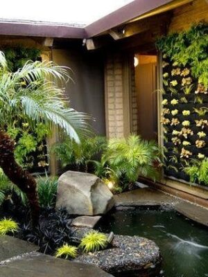 Một Số Mẫu Thiết Kế Tiêu Cảnh Đơn Giản - Ảnh 10